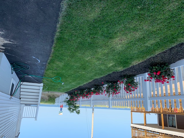 Sandpiper Beachfront Motel — photo 5